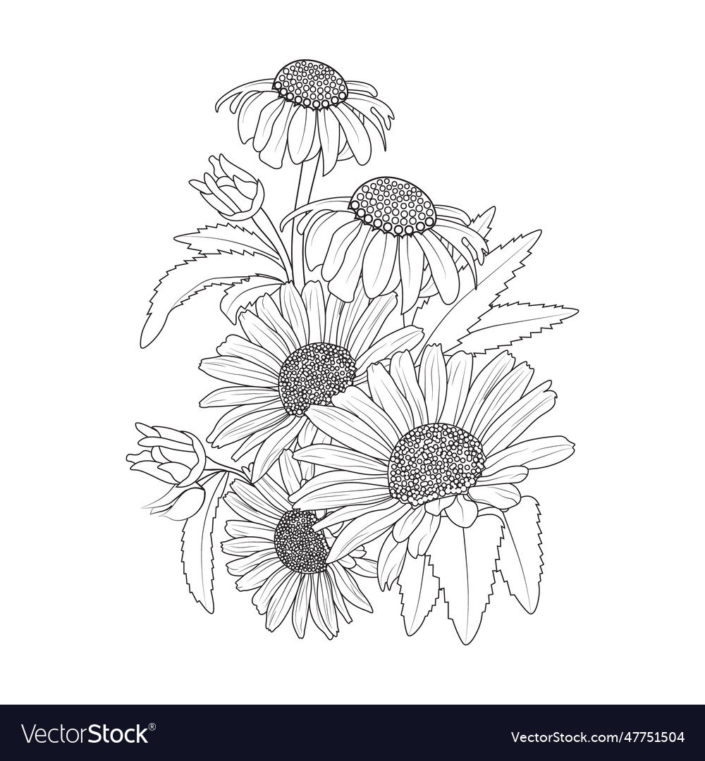 Daisy flower tattoos Royalty Free Vector Image