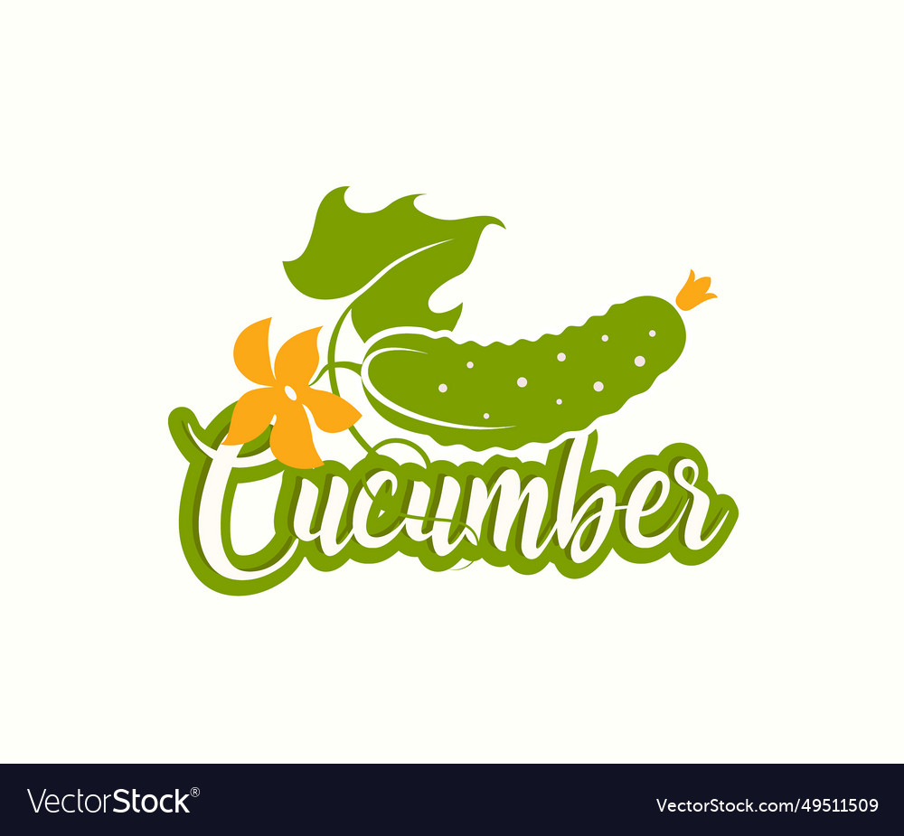 Fresh cucumber modern logo template Royalty Free Vector