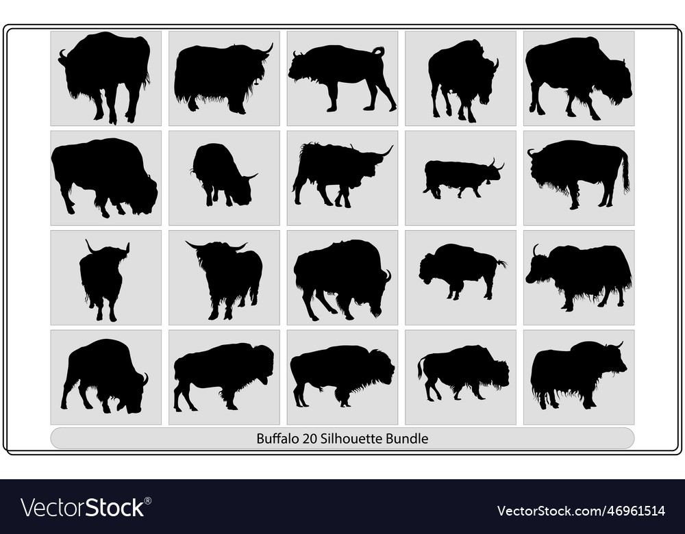 Buffalo silhouette set collection black Royalty Free Vector