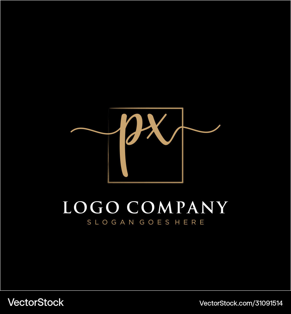 Px initial handwriting logo with rectangle Vector Image