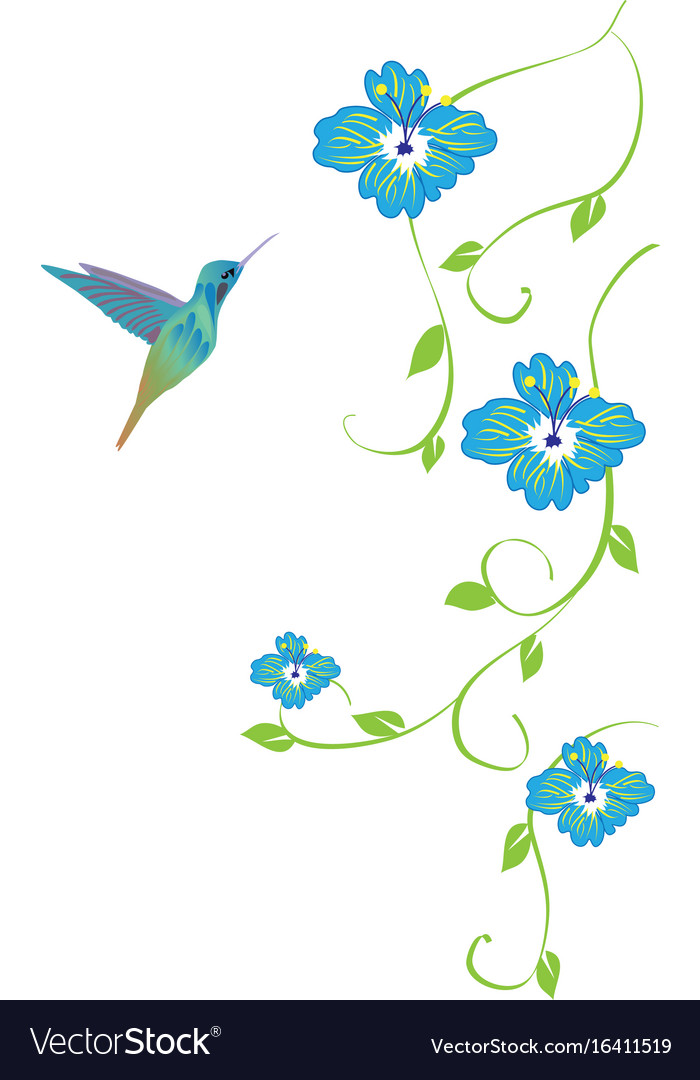 Hummingbird and flowers Royalty Free Vector Image