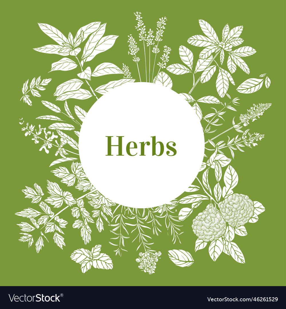 Round template with herbs in hand-drawn style Vector Image