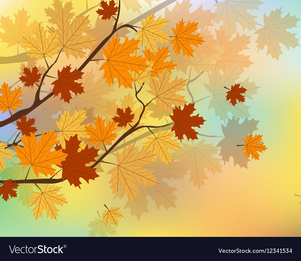 Orange autumn maple leaves Royalty Free Vector Image