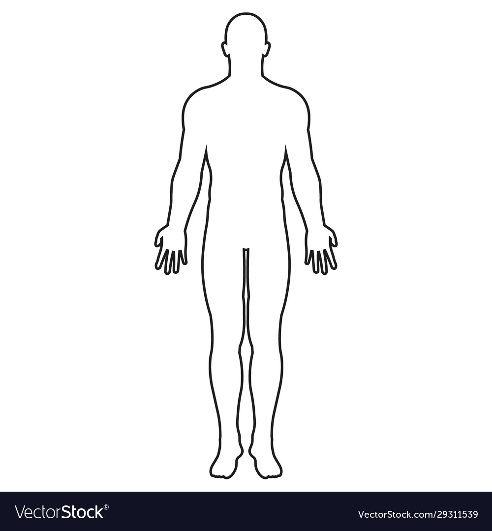 Human body icon outline Royalty Free Vector Image