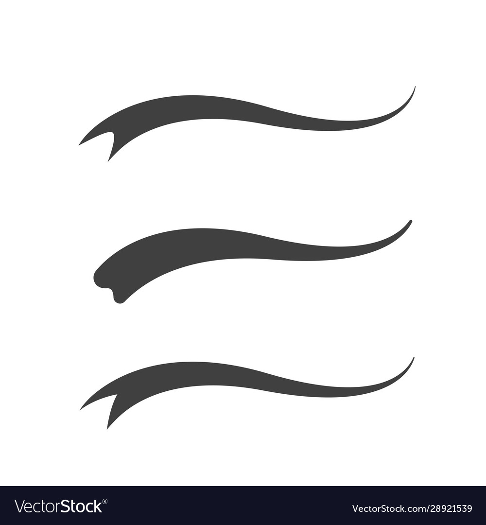 Premium Vector  Swash and swooshes tails design