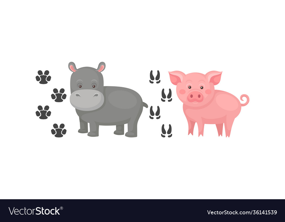 Wild and domestic animal with hippo pig Royalty Free Vector