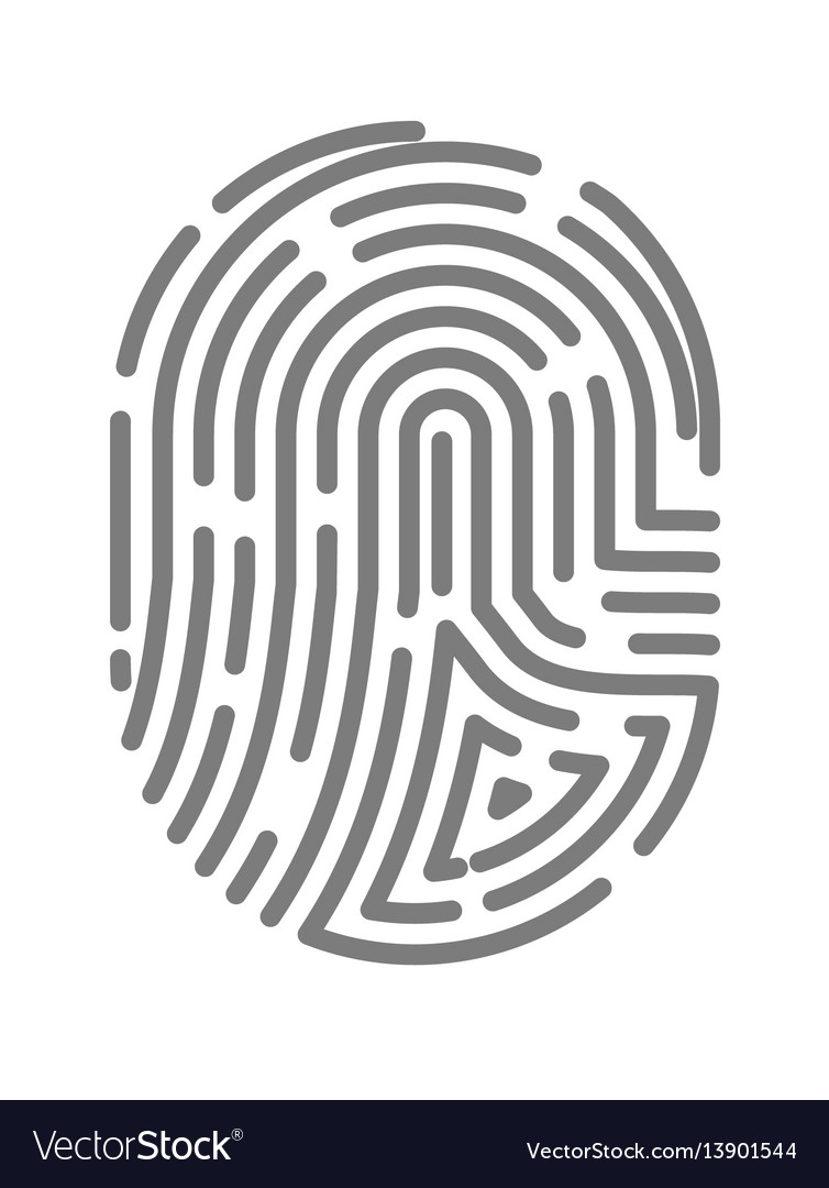Fingerprint or fingertip print pattern Royalty Free Vector