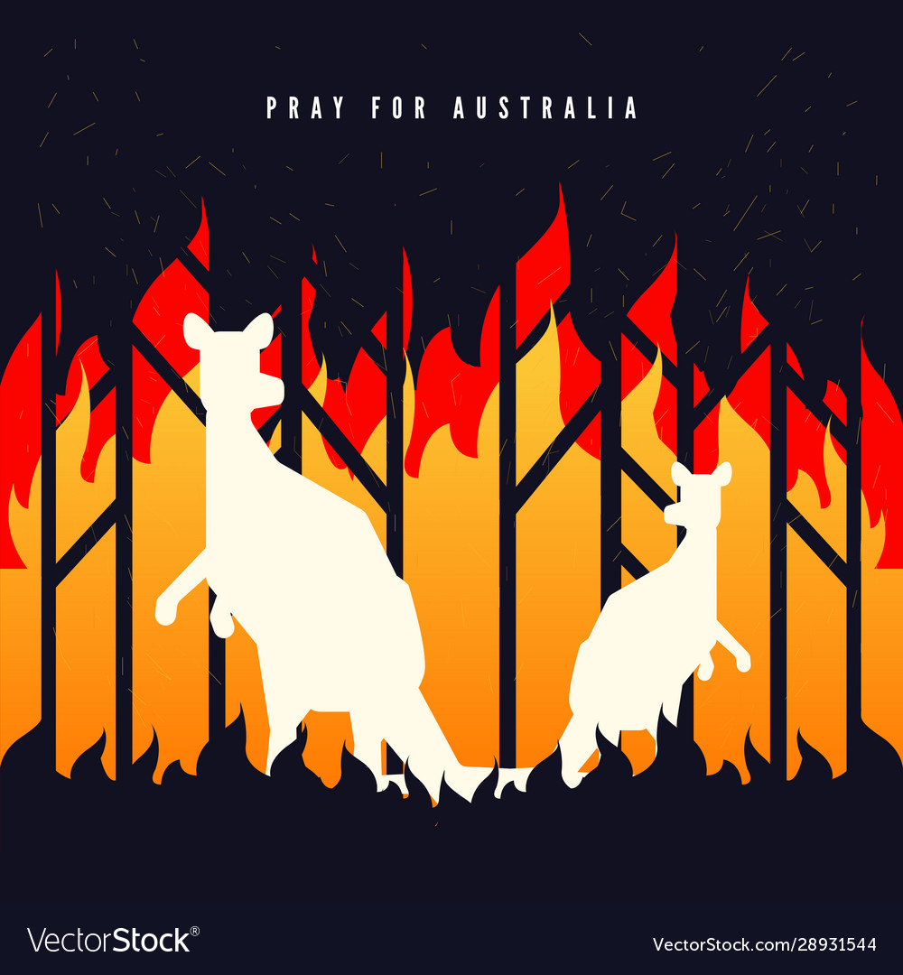 Pray For Australia Banner Forest In Fire Burning Vector Image