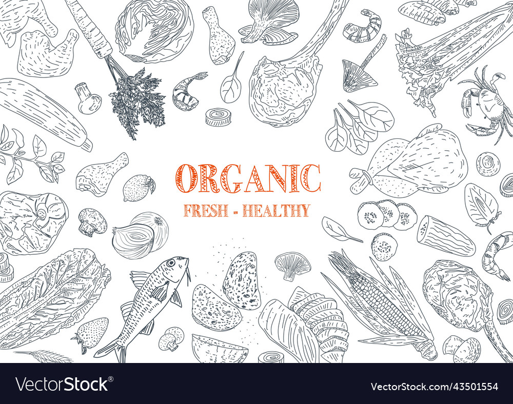 Healthy eating organic food Royalty Free Vector Image