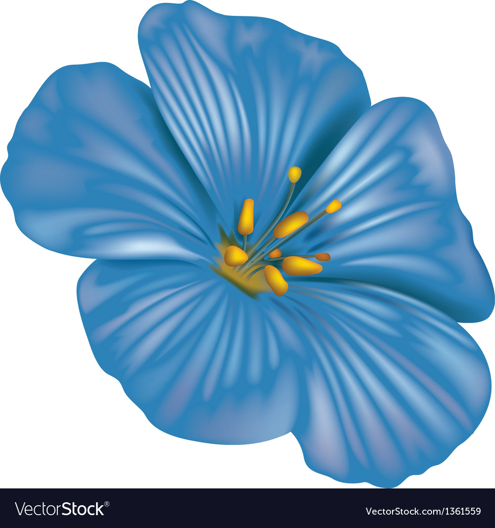 Blue flower Royalty Free Vector Image - VectorStock