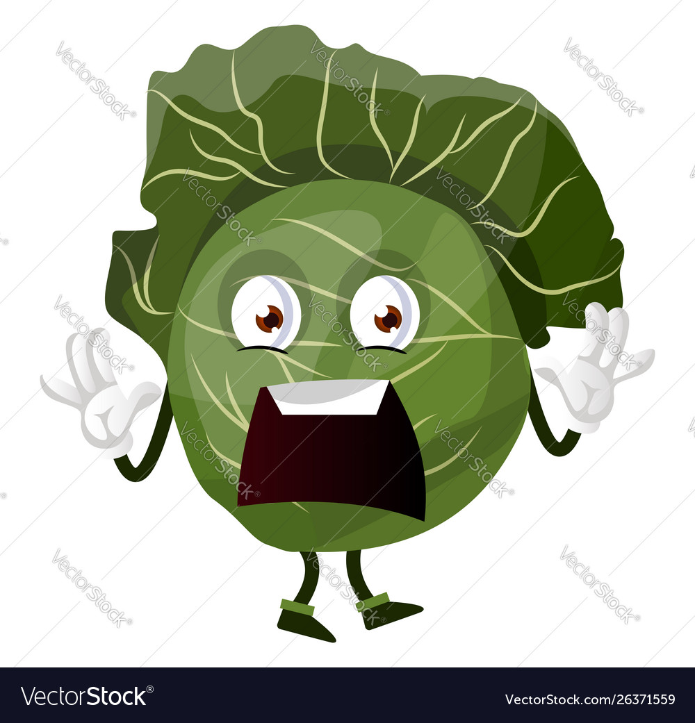 Scared cabbage on white background Royalty Free Vector Image