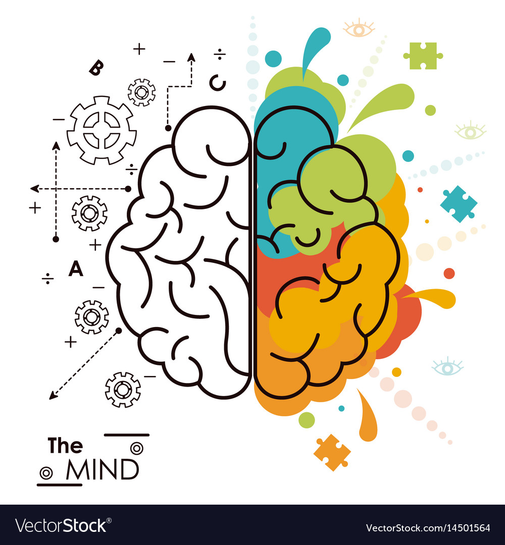 Mind brain human functions left right design Vector Image