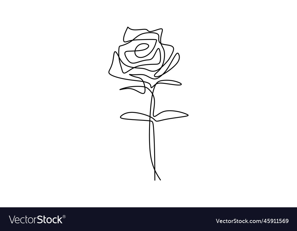 One continuous single line rose design hand drawn Vector Image