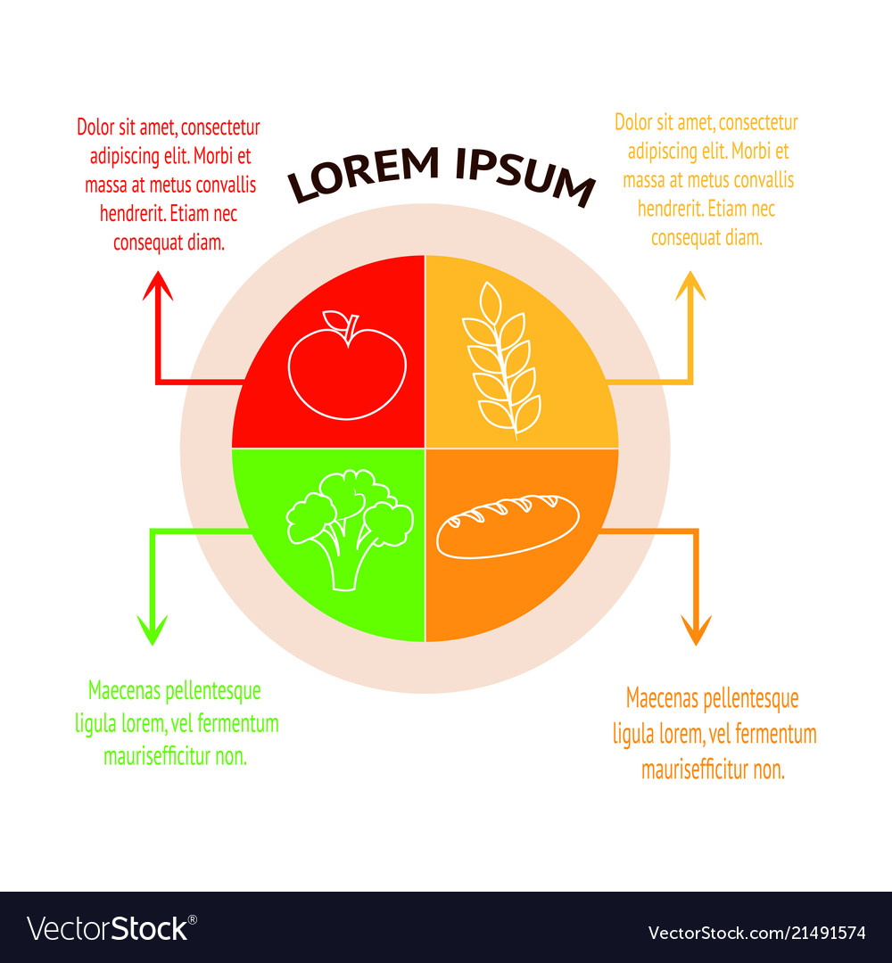 Food infographic background Royalty Free Vector Image Biology Diagrams