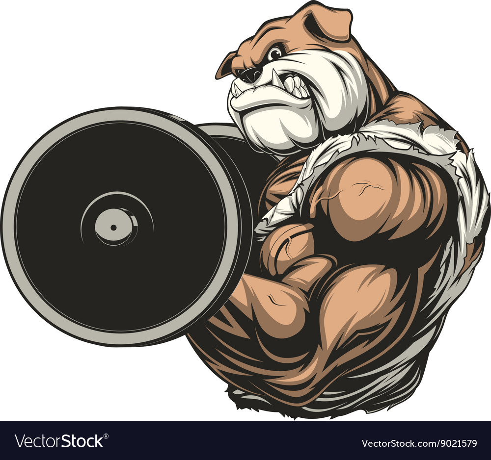 Strong Dog Royalty Free Vector Image Vectorstock