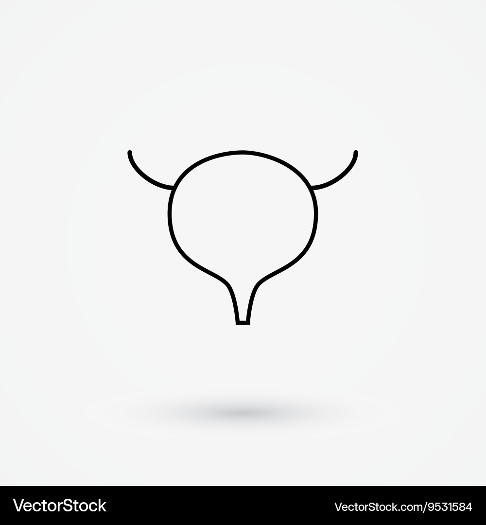 Bladder icon Royalty Free Vector Image - VectorStock