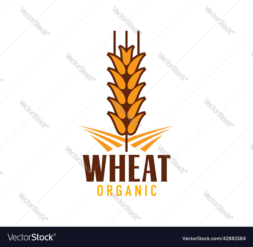 Wheat icon rice oat barley or millet cereal ear Vector Image