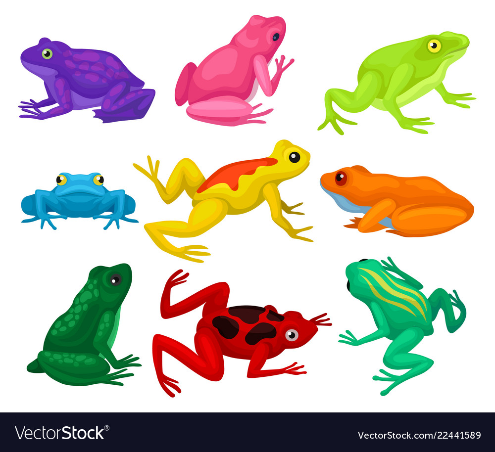 Flat set cartoon frogs toads with short Royalty Free Vector