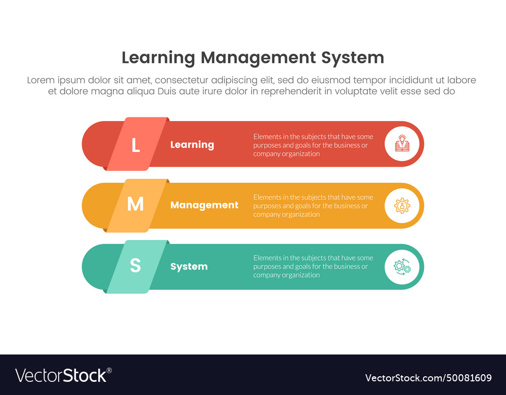 Lms learning management system infographic 3 Vector Image