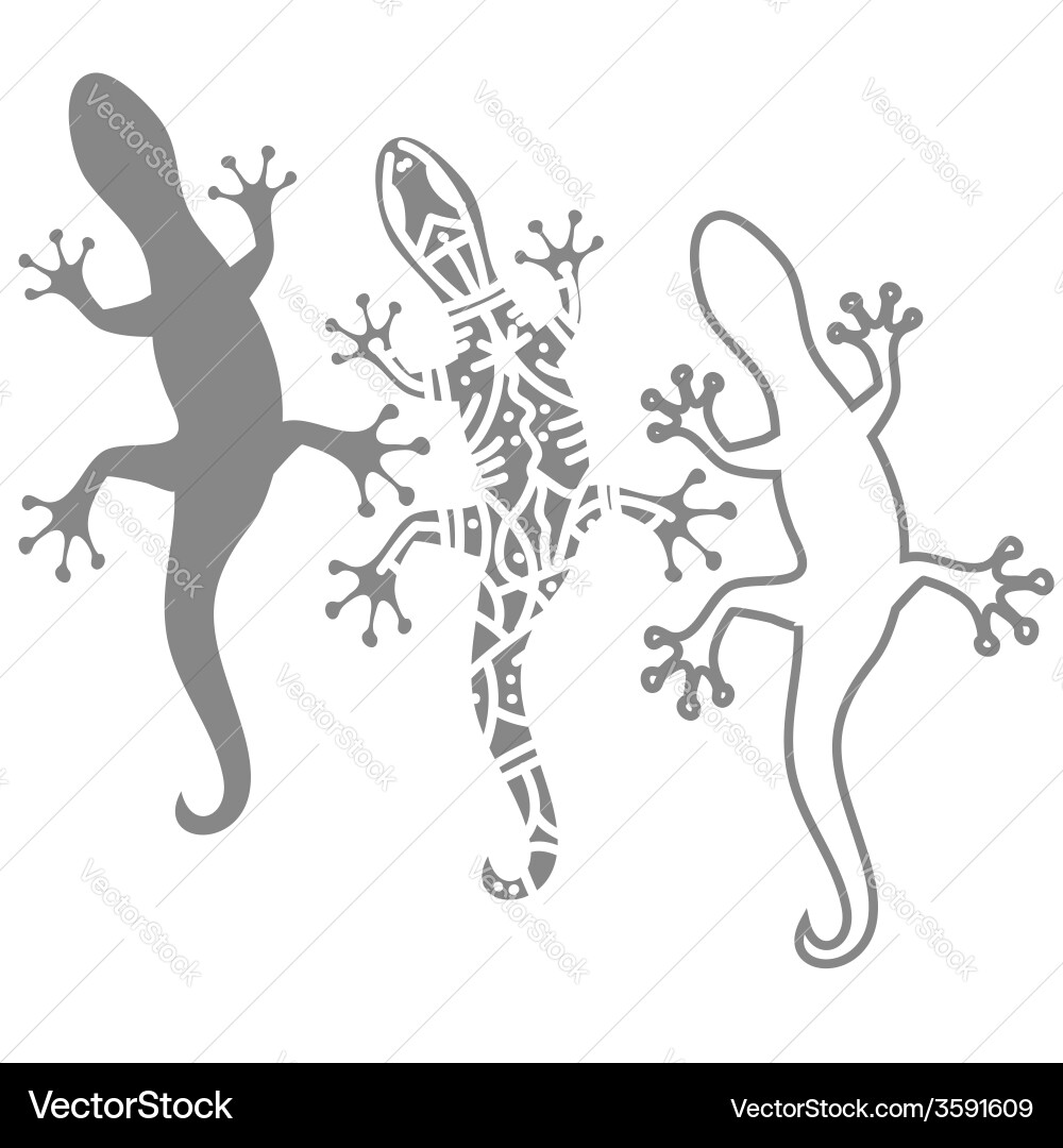 Salamanders Royalty Free Vector Image - VectorStock