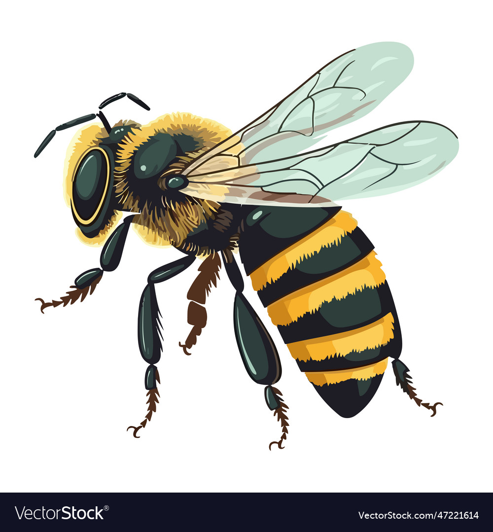 Busy bees pollinate flowers Royalty Free Vector Image