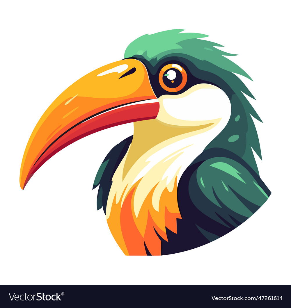 Exoric bird large beak Royalty Free Vector Image