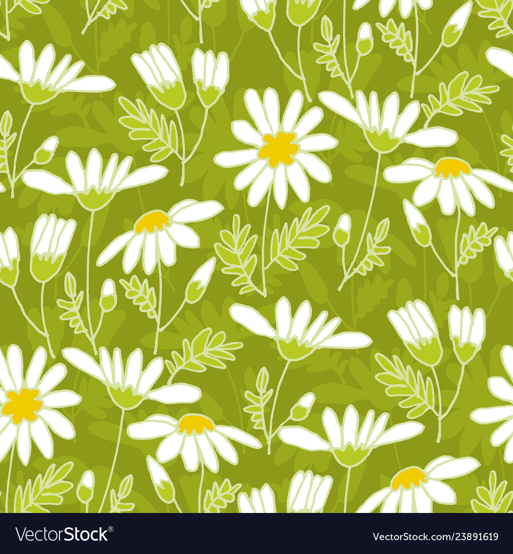 Chamomile hand drawn color seamless pattern Vector Image