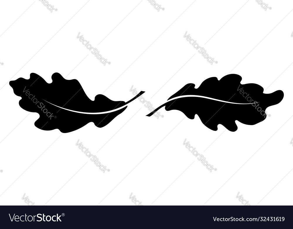 Two oak leaves vector image Two oak leaves