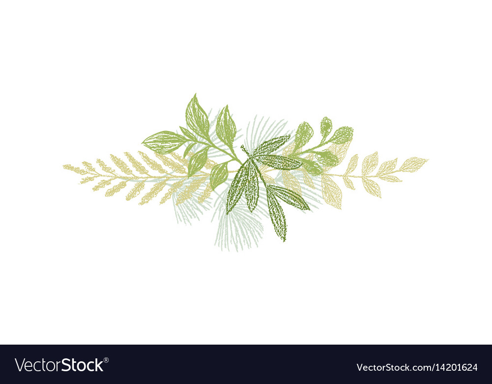 greenery botanical hand drawn