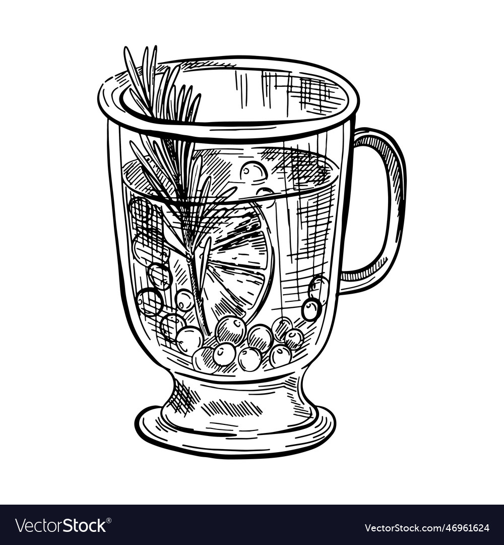 Hot drinks in mug of glass with lemon and berries Vector Image