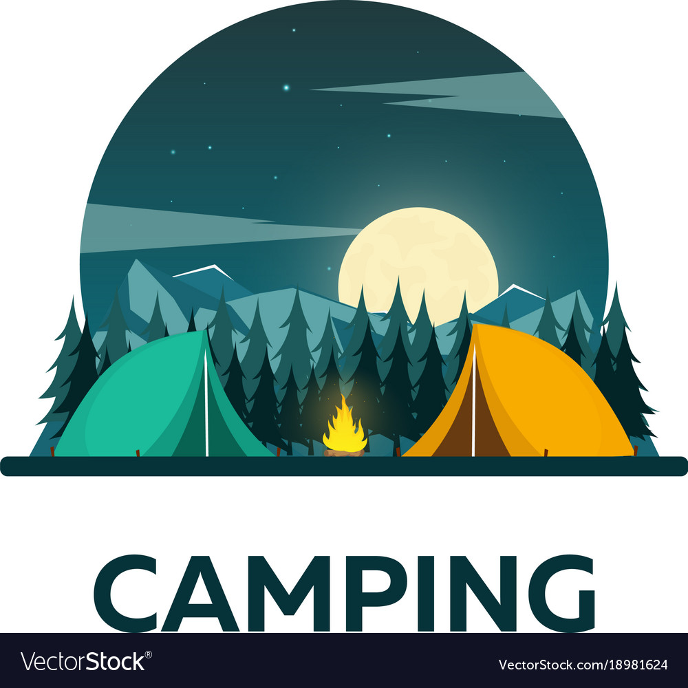 Summer Camp Night Camping Campfire Pine Forest Vector Image