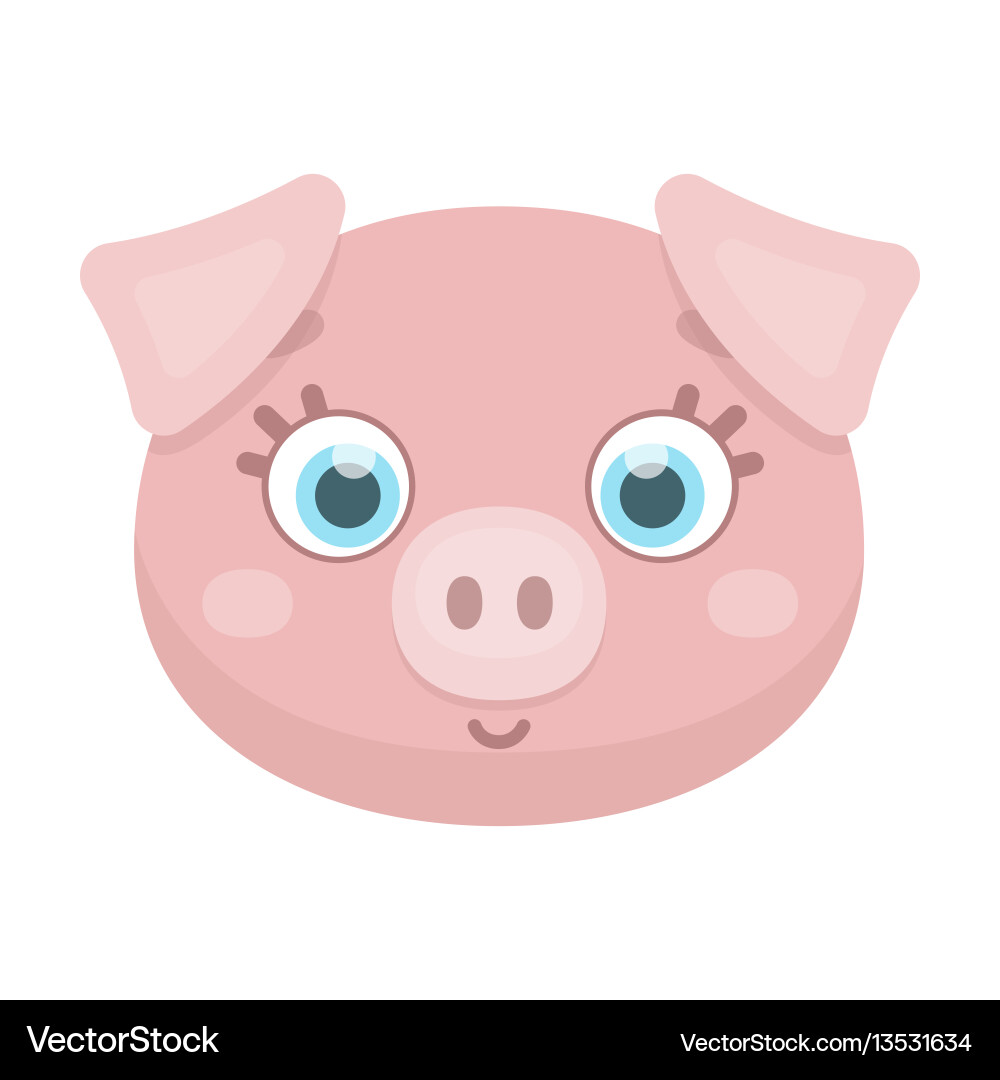 pig muzzle