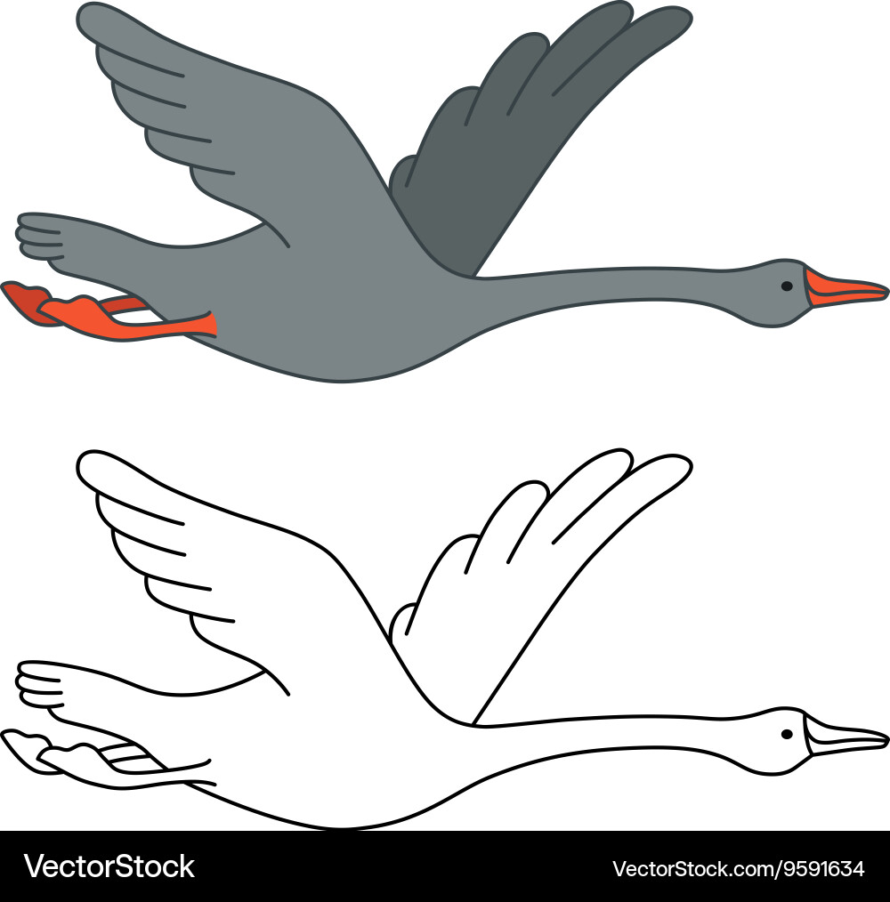 Soaring goose Royalty Free Vector Image - VectorStock