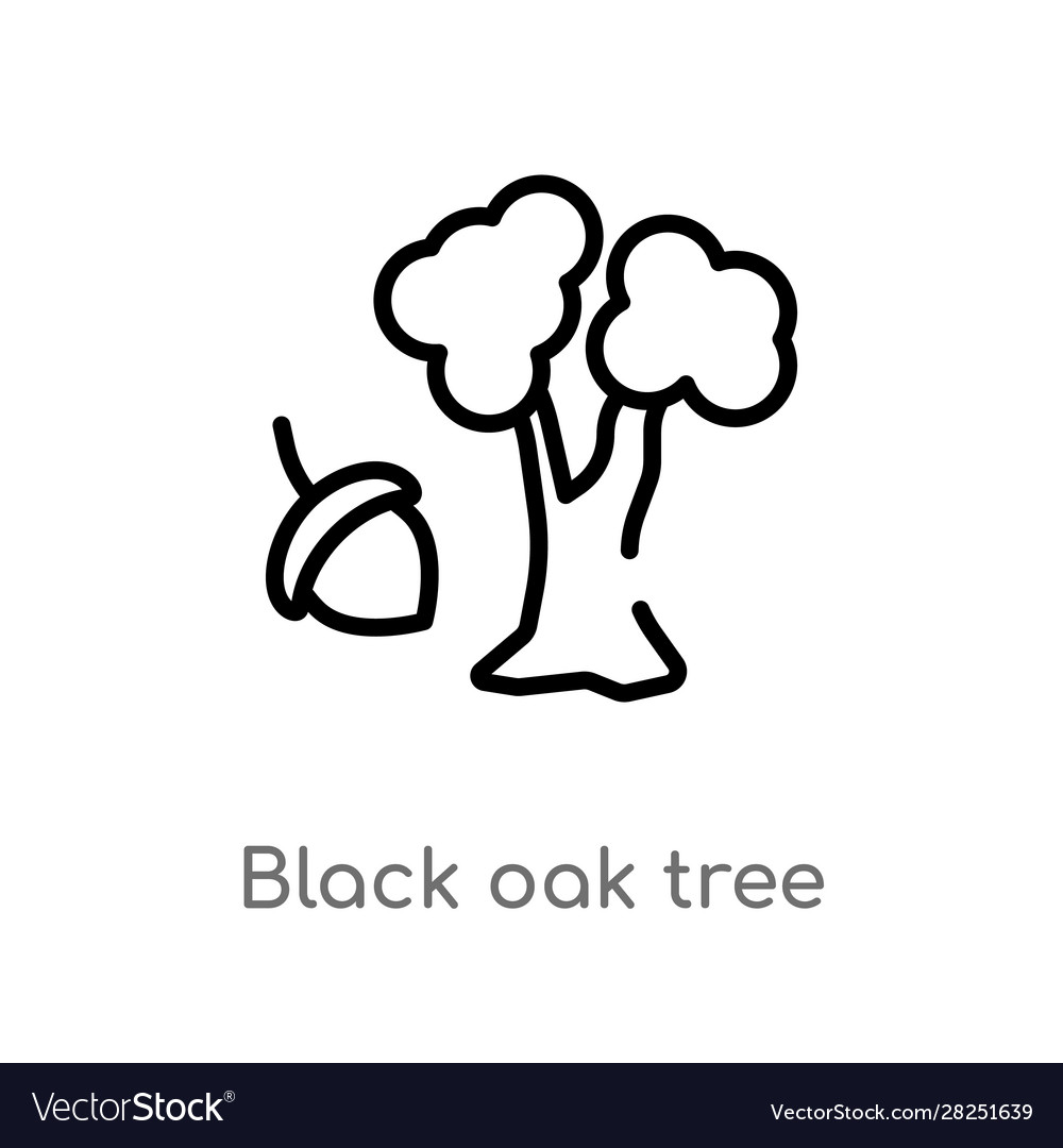 Oak Tree Vector Outline