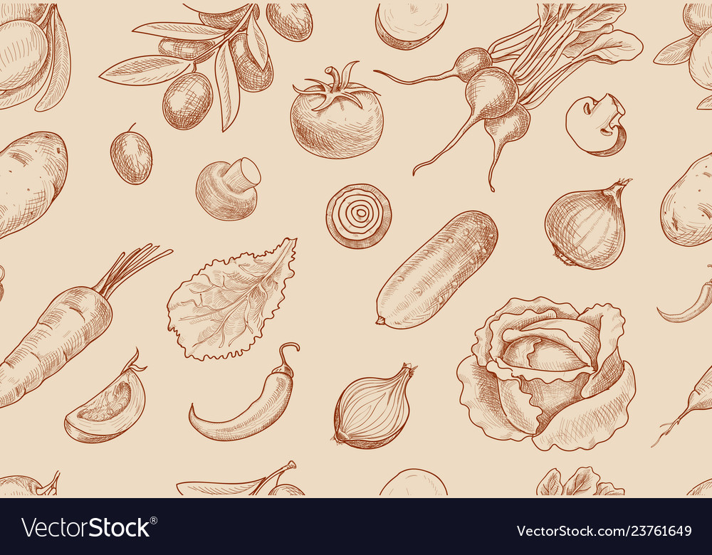 Hand drawn vegetables seamless pattern vector image Hand drawn vegetables seamless pattern