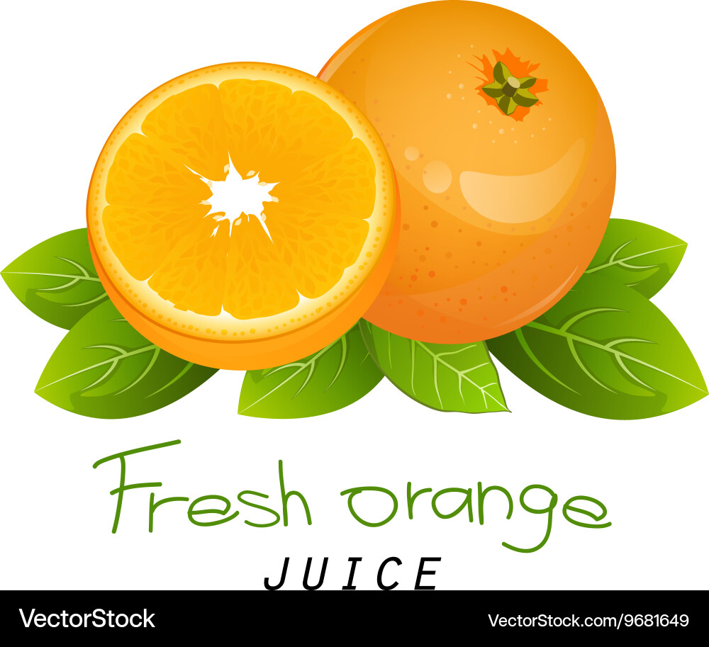 Orange slice fruit icon set composition Royalty Free Vector