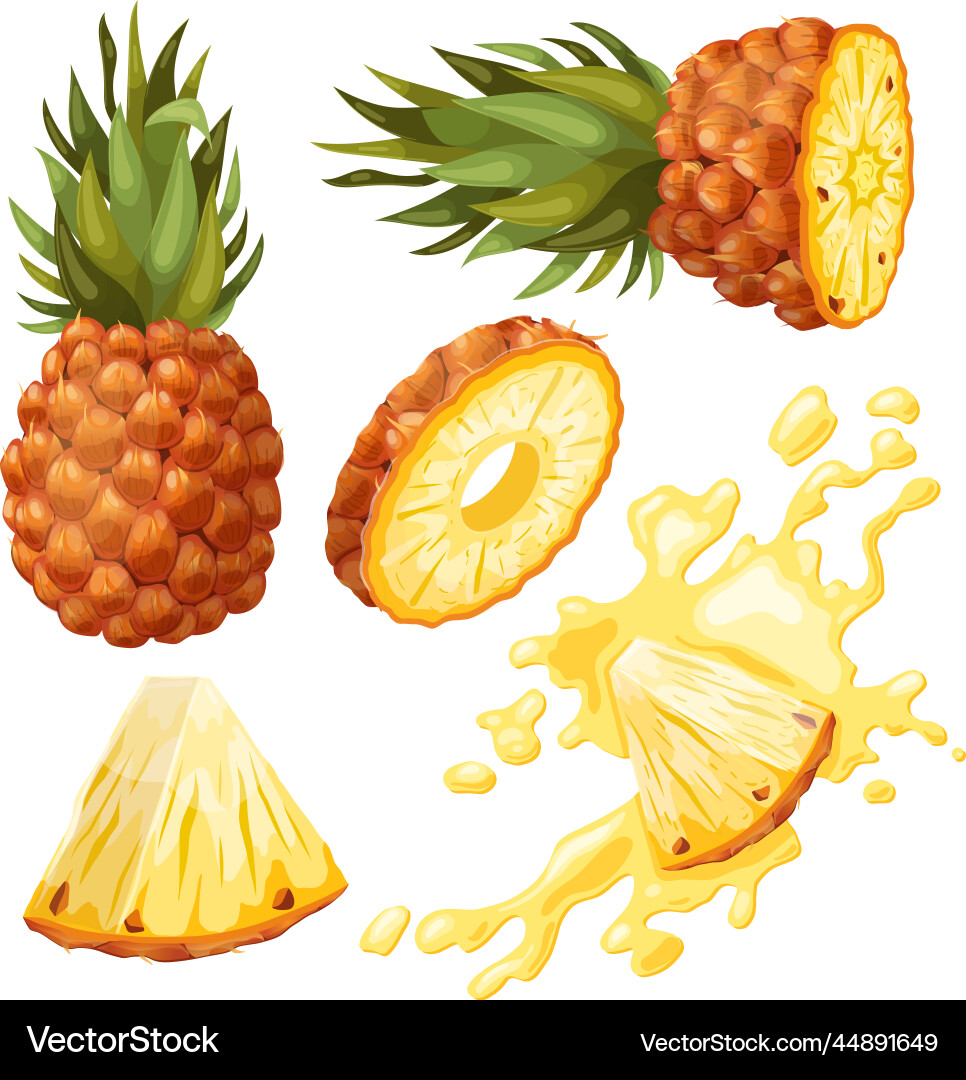 Pineapple fruit set cartoon Royalty Free Vector Image