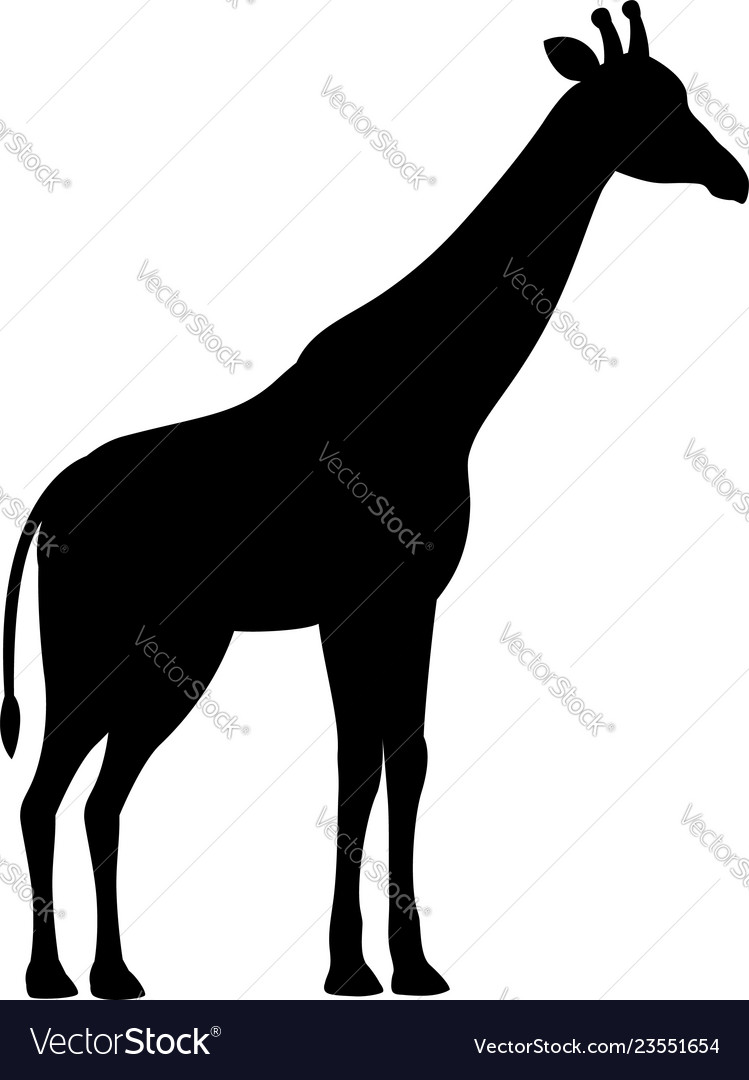 Giraffe Black Silhouette Royalty Free Vector Image