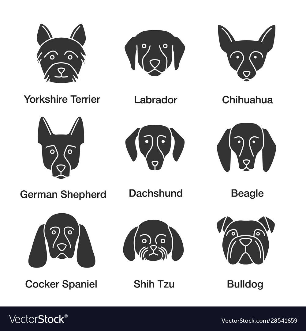 Dogs breeds glyph icons set vector image Dogs breeds glyph icons set