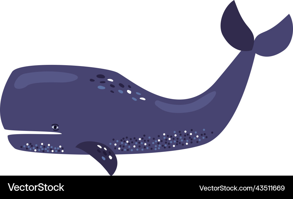 Sperm whale sealife Royalty Free Vector Image - VectorStock