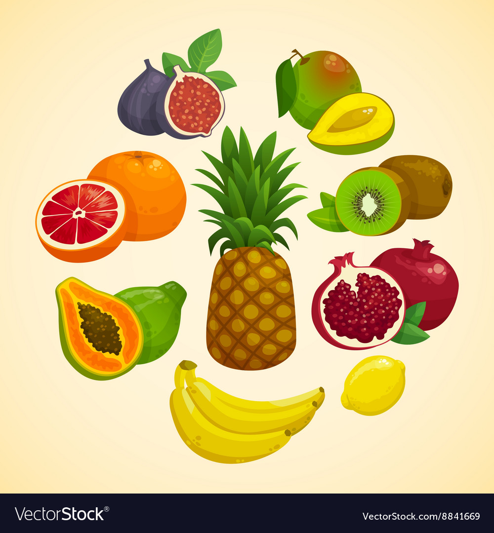 Tropical fruits collection cartoon Royalty Free Vector Image