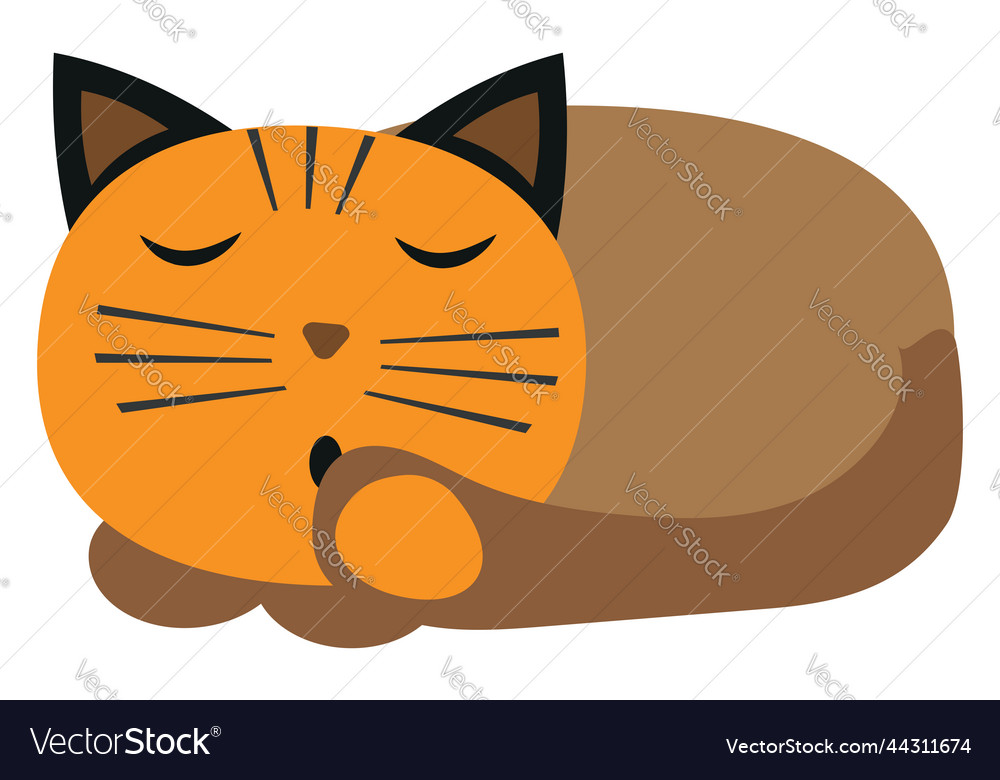 Cat Sleeping On A White Background Royalty Free Vector Image