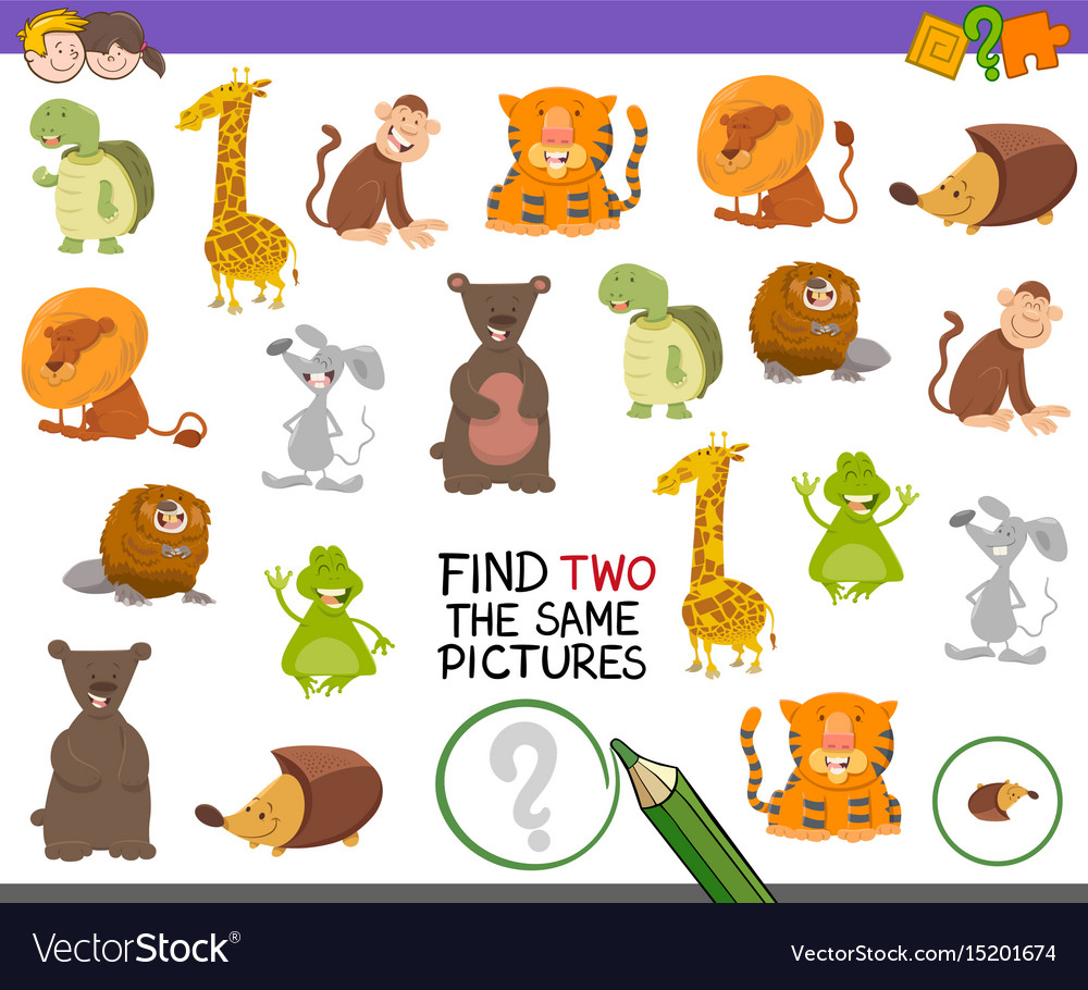 Find 2 identical card game. Find 2 identical pictures game. Find it 2. Find two identical. Найди одинакового котенка картинки.