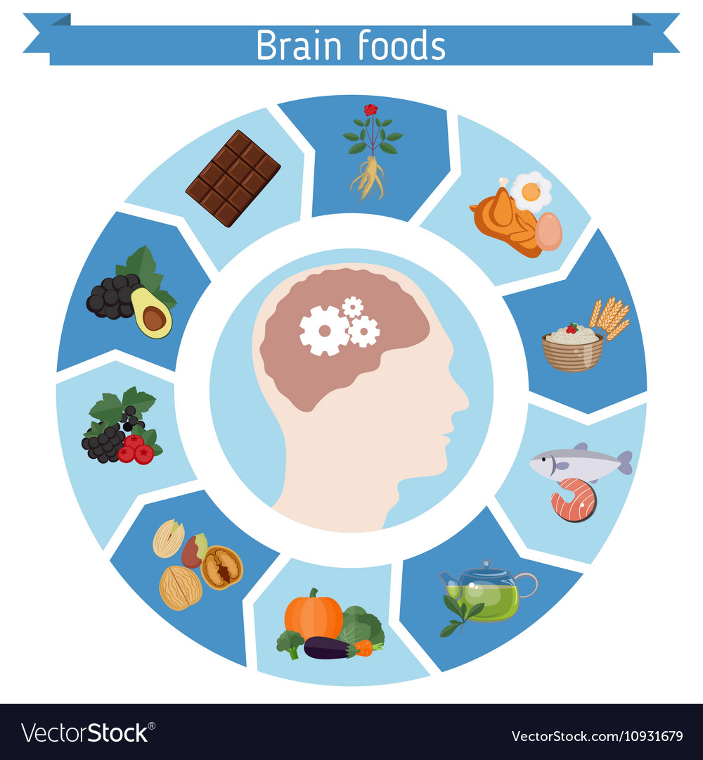 Brain Foods infographics Royalty Free Vector Image