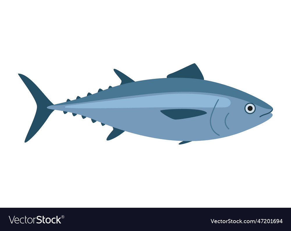 Tuna bluefin fish seafood and underwater color Vector Image