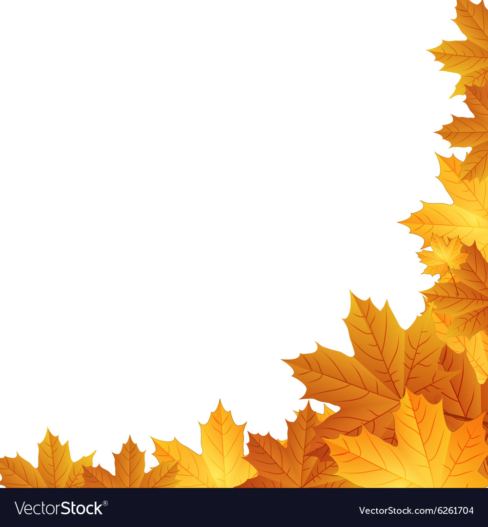 Autumn leaves background with space for text Vector Image