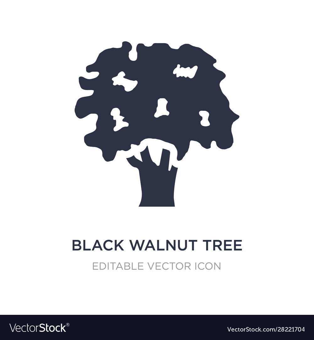 Walnut Tree Vector