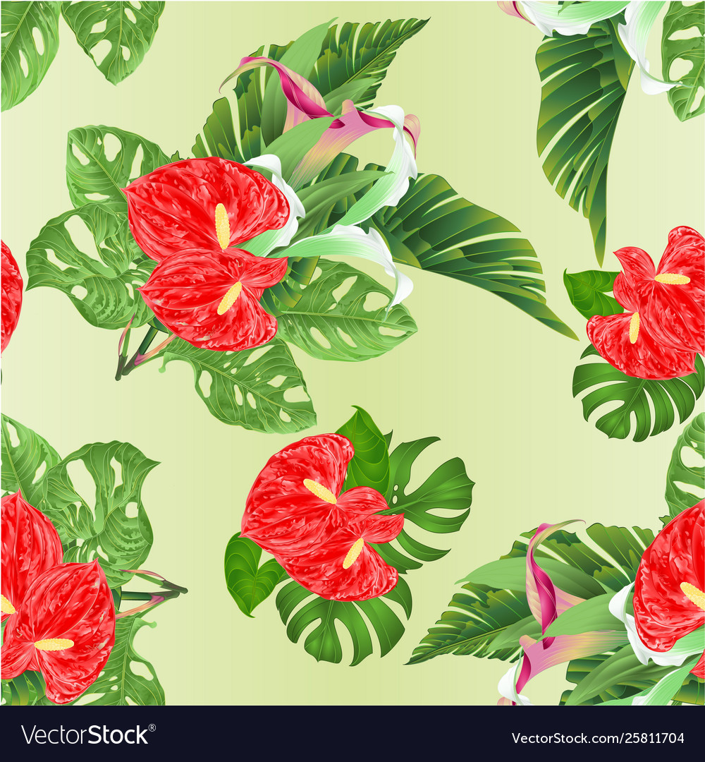 Seamless texture tropical flowers lilies Vector Image