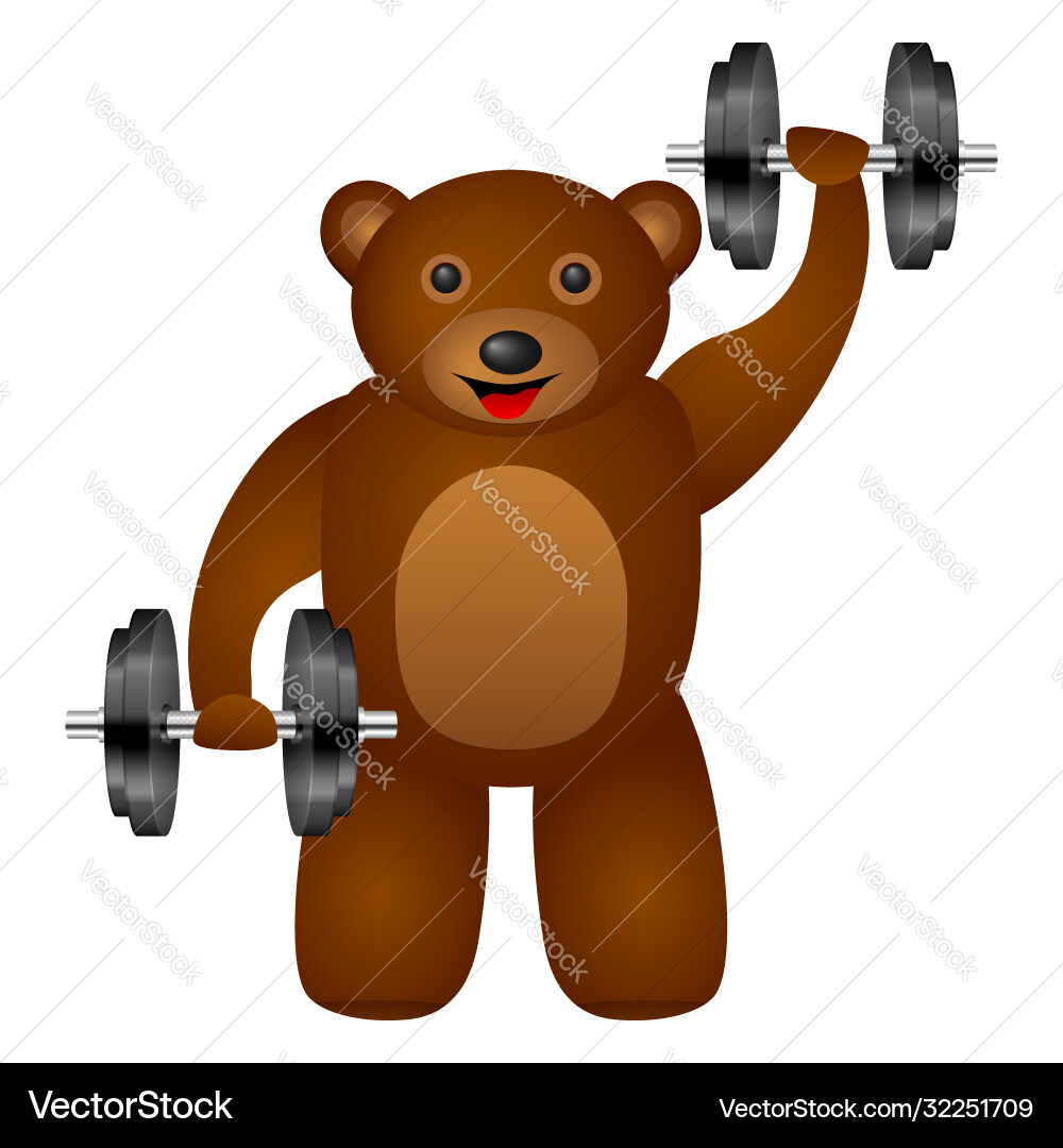 Gym Teddy Bear Vector Images (40)