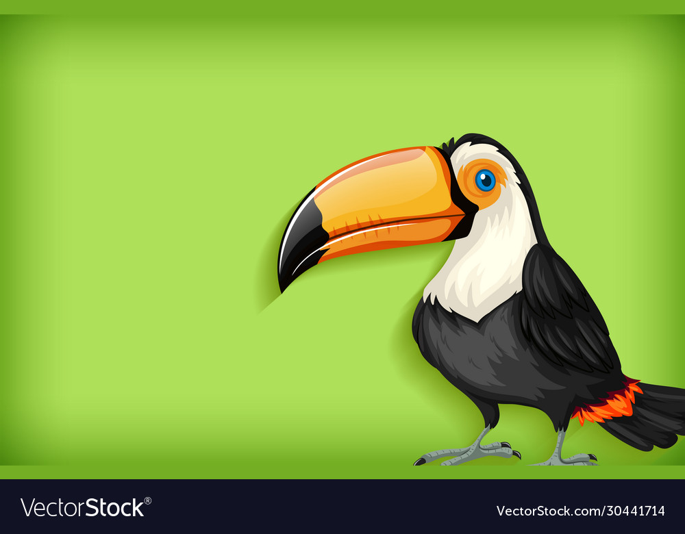 Background template with plain color and toucan